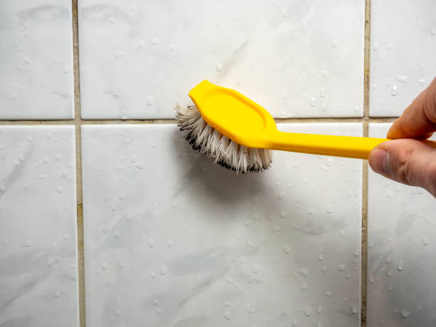 Trusted Stroud, OK Mold Removal Experts
