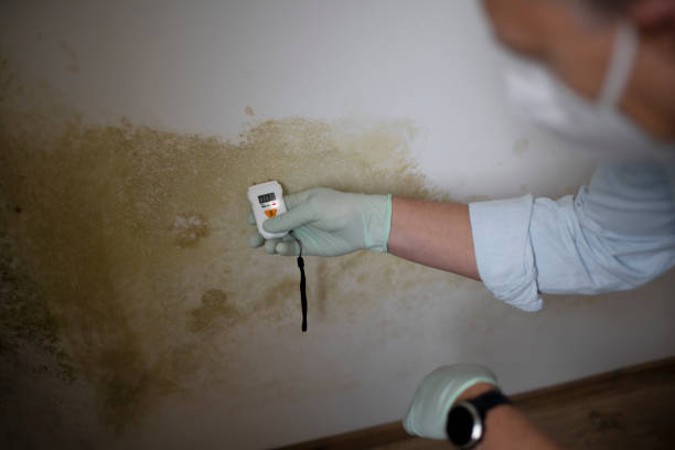 Best Emergency Mold Removal  in Stroud, OK