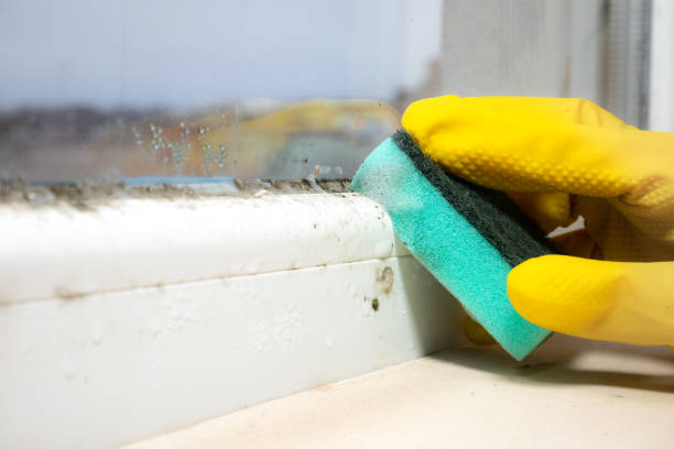 Best Residential Mold Removal  in Stroud, OK