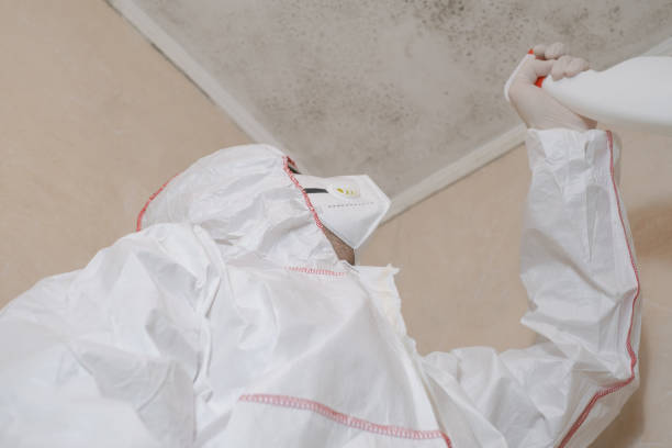 Best Local Mold Removal Service  in Stroud, OK