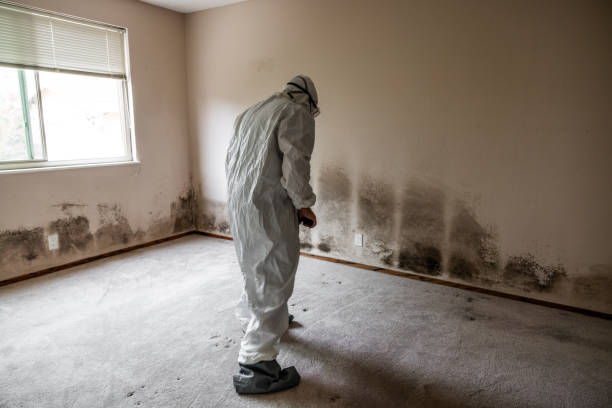Best Certified Mold Removal  in Stroud, OK