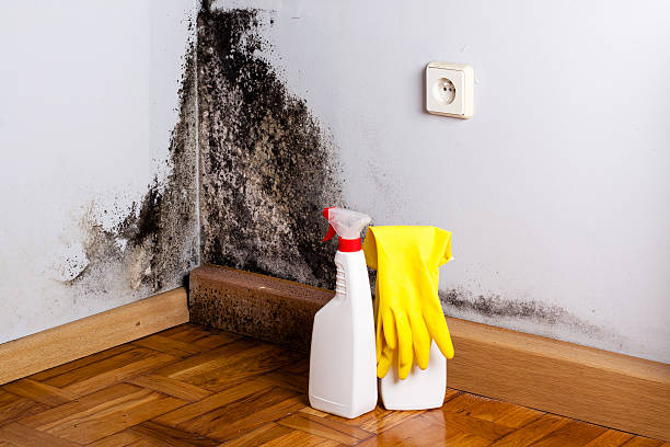 Home Mold Removal in Stroud, OK